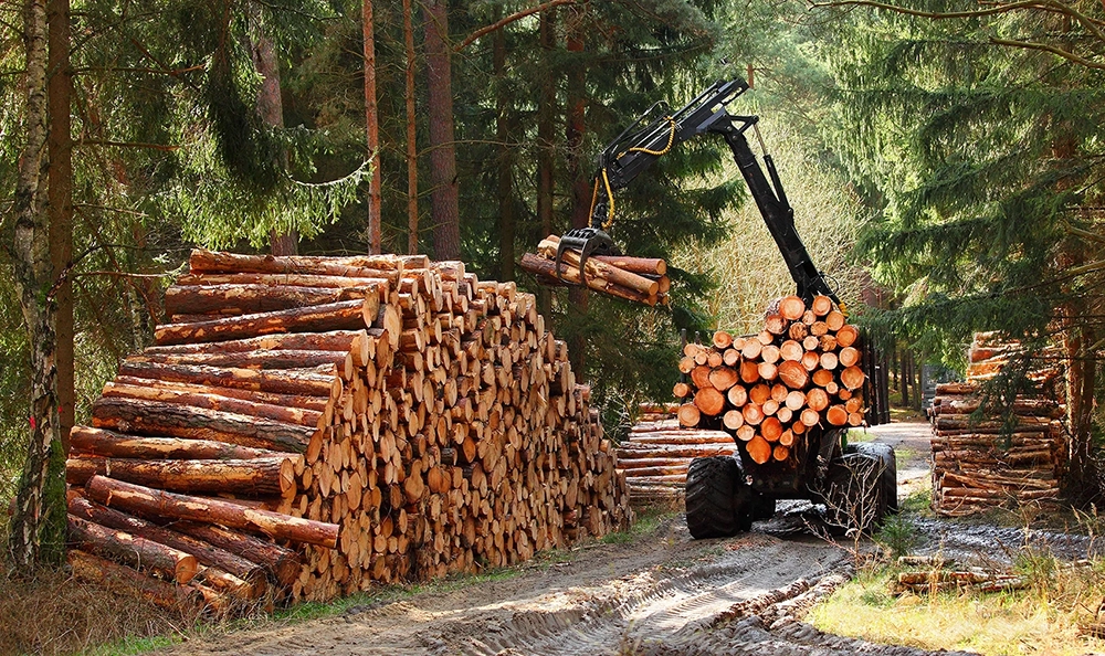 crane piling up wood
