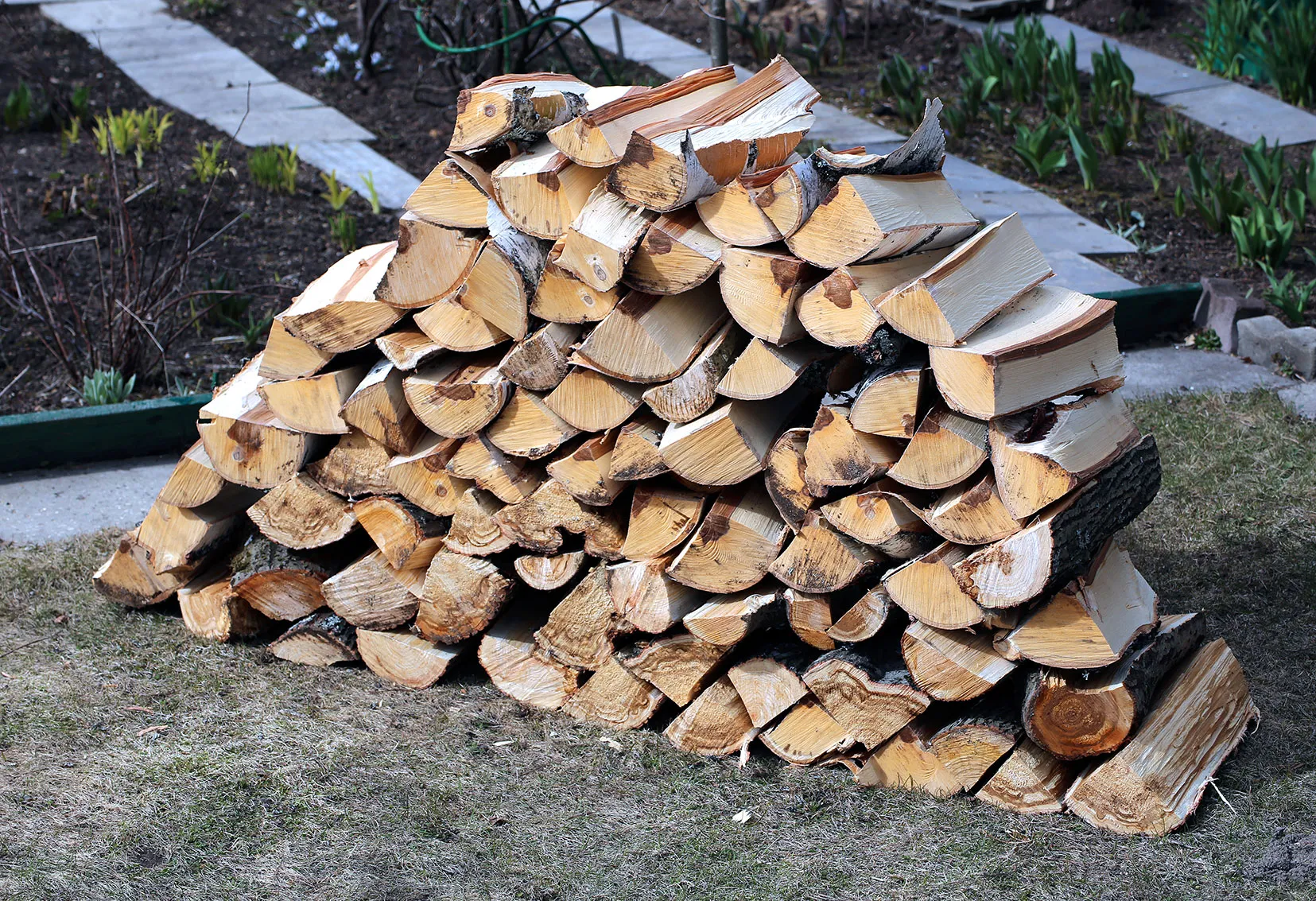 Pile of Firewood